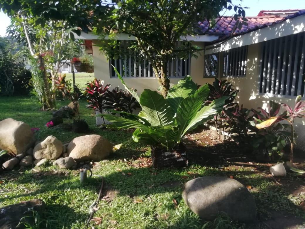 Casa Sophia 3 Listings Apartment 1 Or Apartment 2 Separately Or Apt 1 And 2 Together All With Fo Internet Guápiles 외부 사진