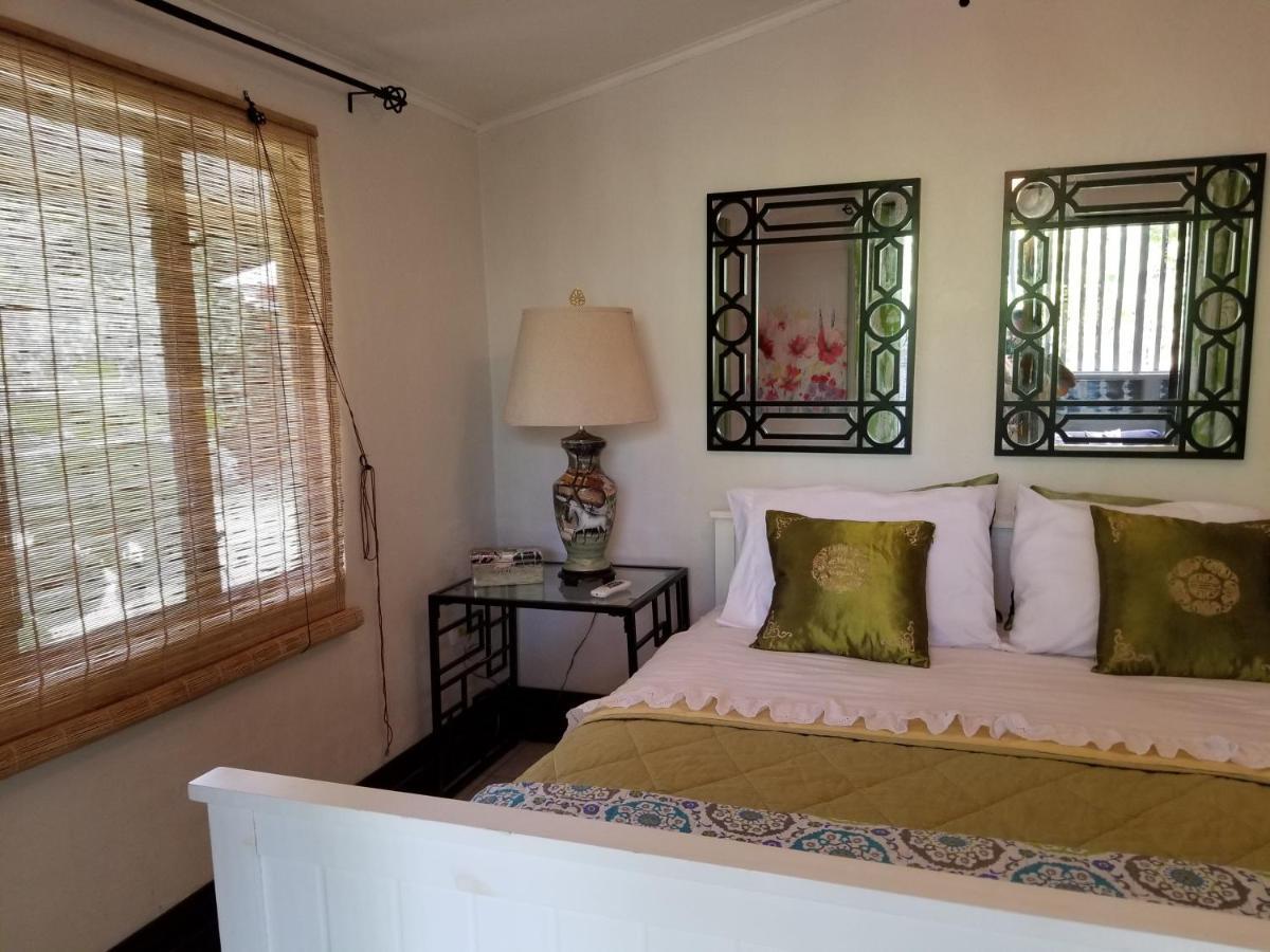 Casa Sophia 3 Listings Apartment 1 Or Apartment 2 Separately Or Apt 1 And 2 Together All With Fo Internet Guápiles 외부 사진