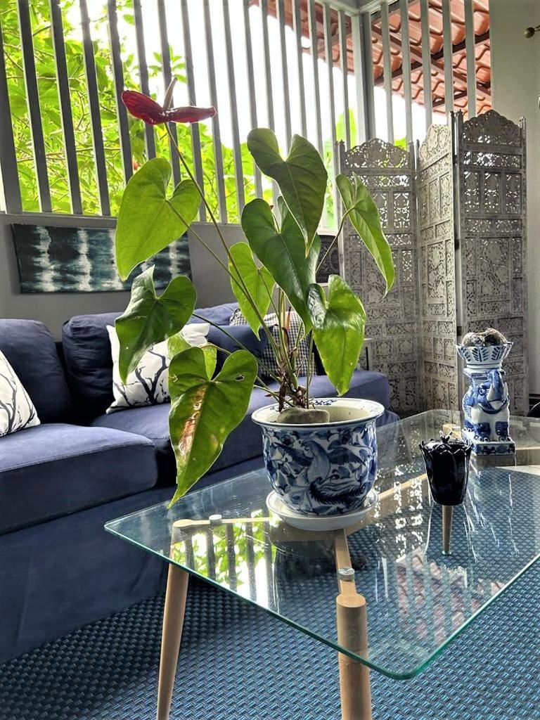 Casa Sophia 3 Listings Apartment 1 Or Apartment 2 Separately Or Apt 1 And 2 Together All With Fo Internet Guápiles 외부 사진